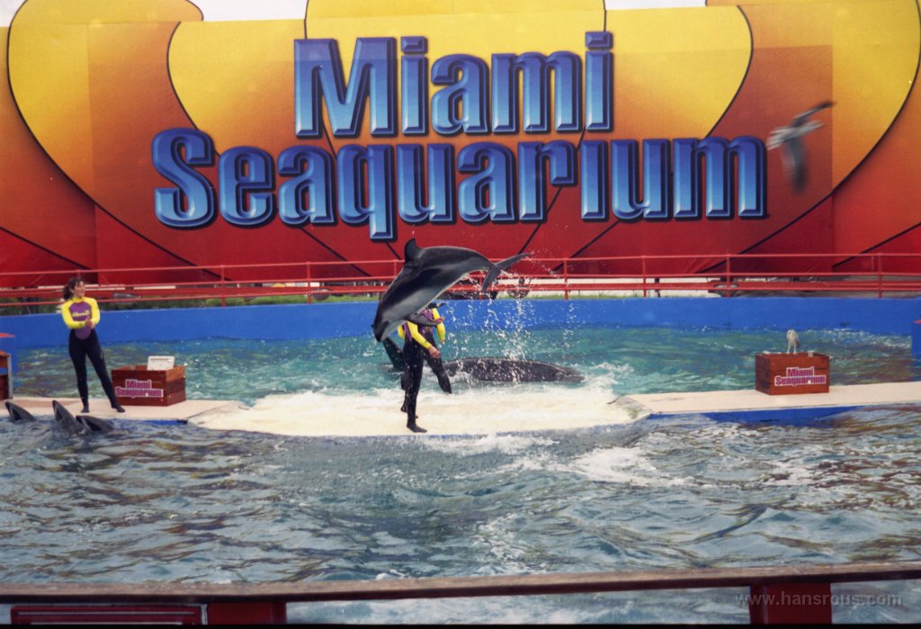 47 Miami Seaquarium