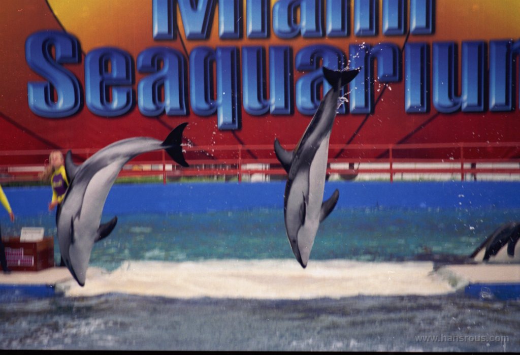 49 Miami Seaquarium