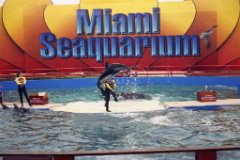 47_Miami_Seaquarium.jpg